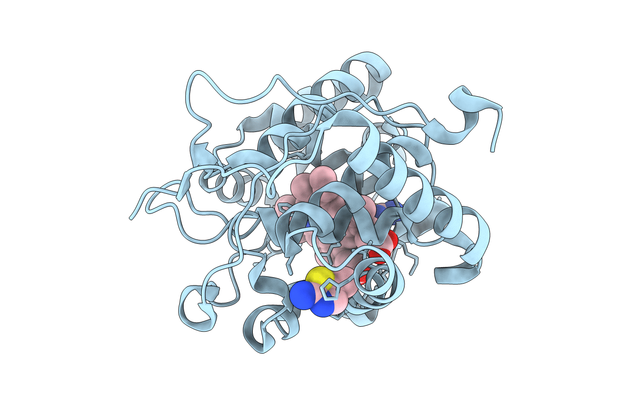 4XV4 image