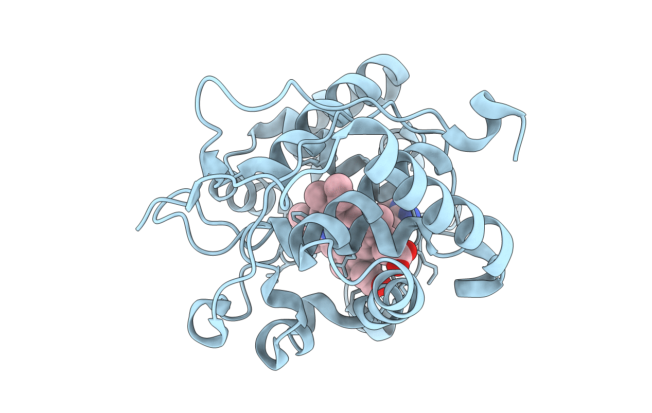 4XV7 image