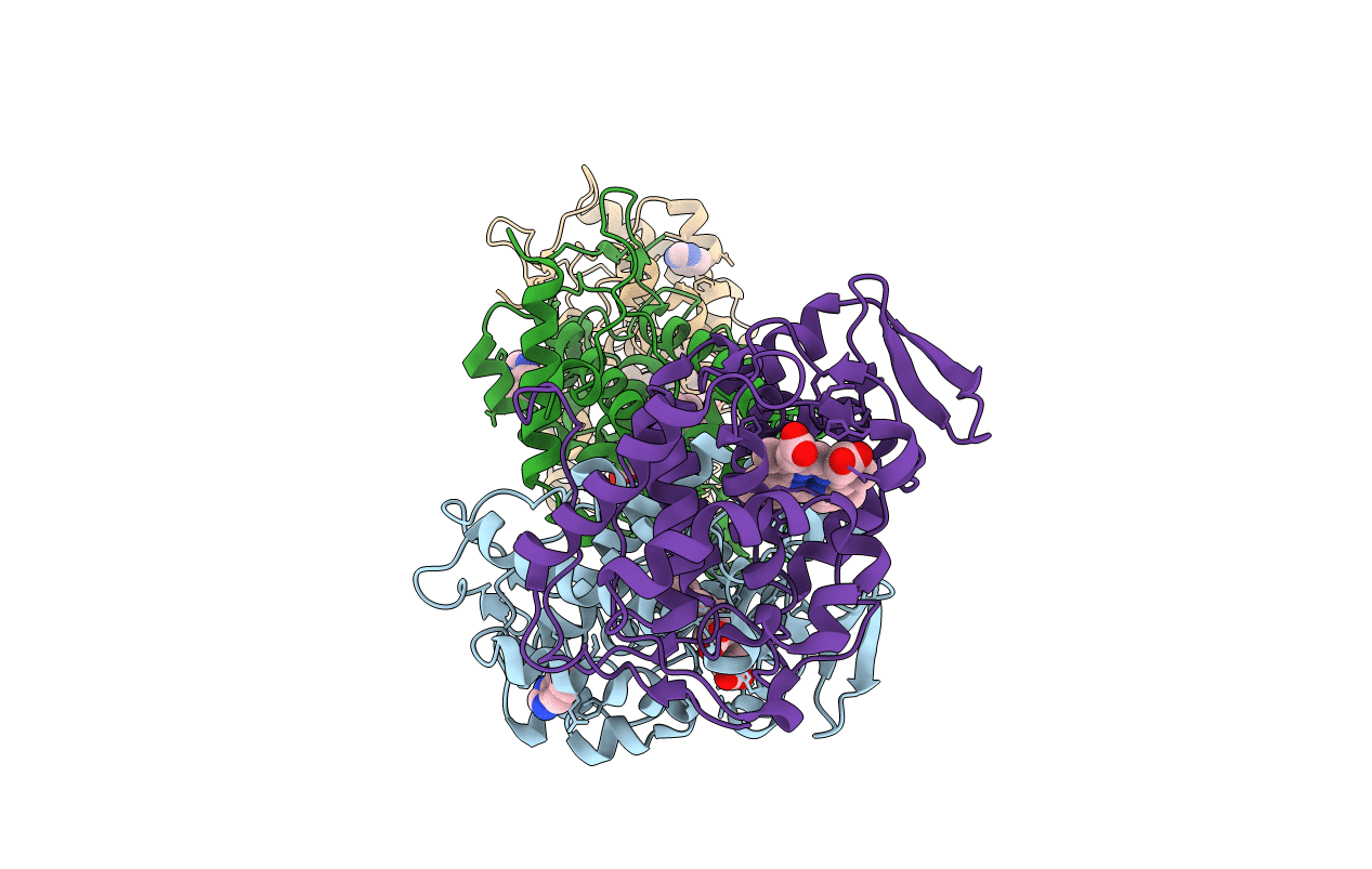 4XVA image