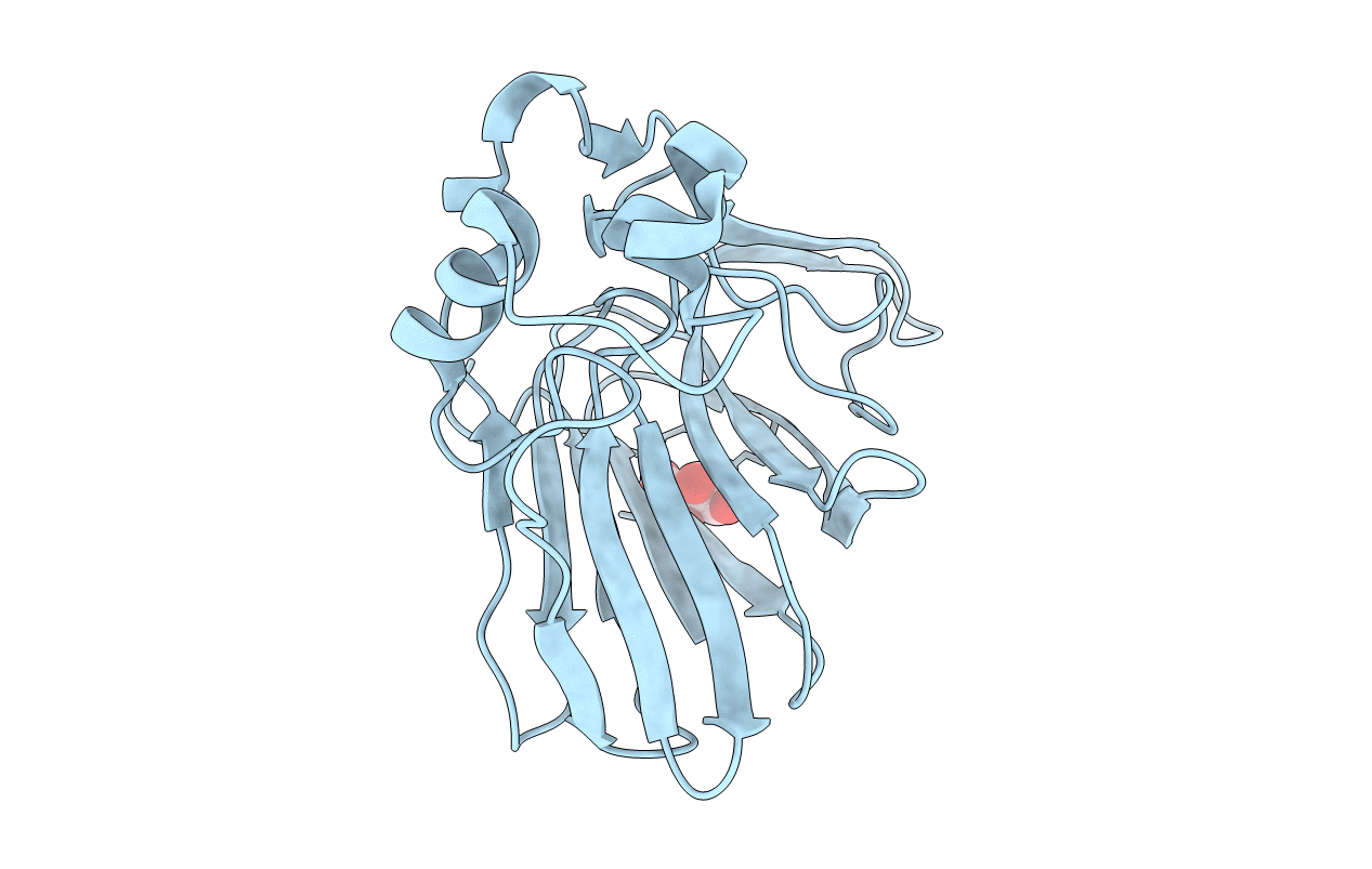 4XVB image