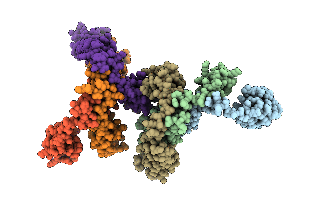 4XVN image
