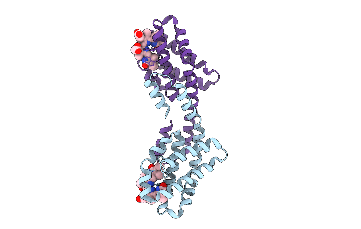 4XXI image