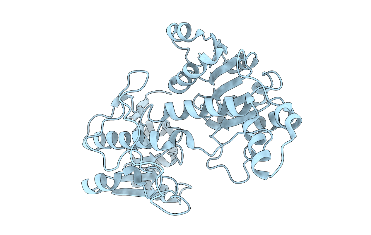 4XYG image