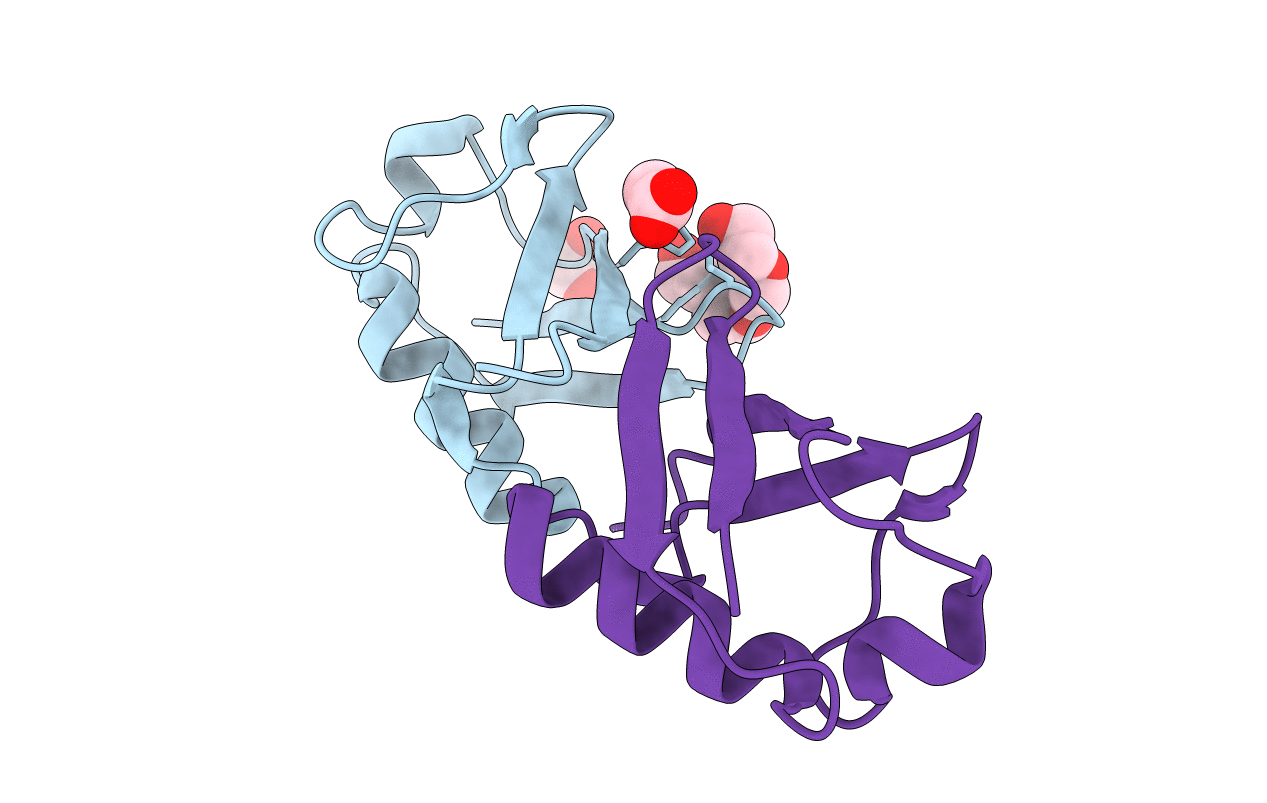 4XYZ image