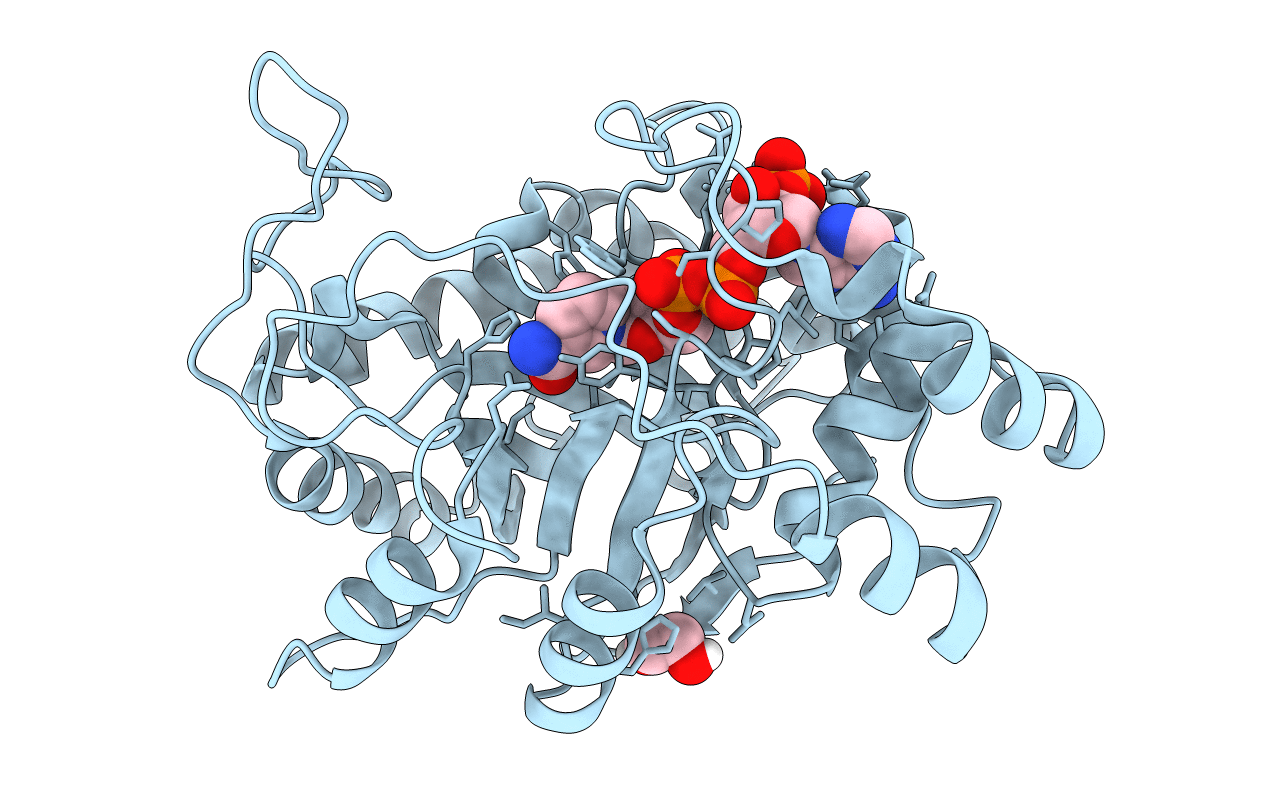 4XZN image