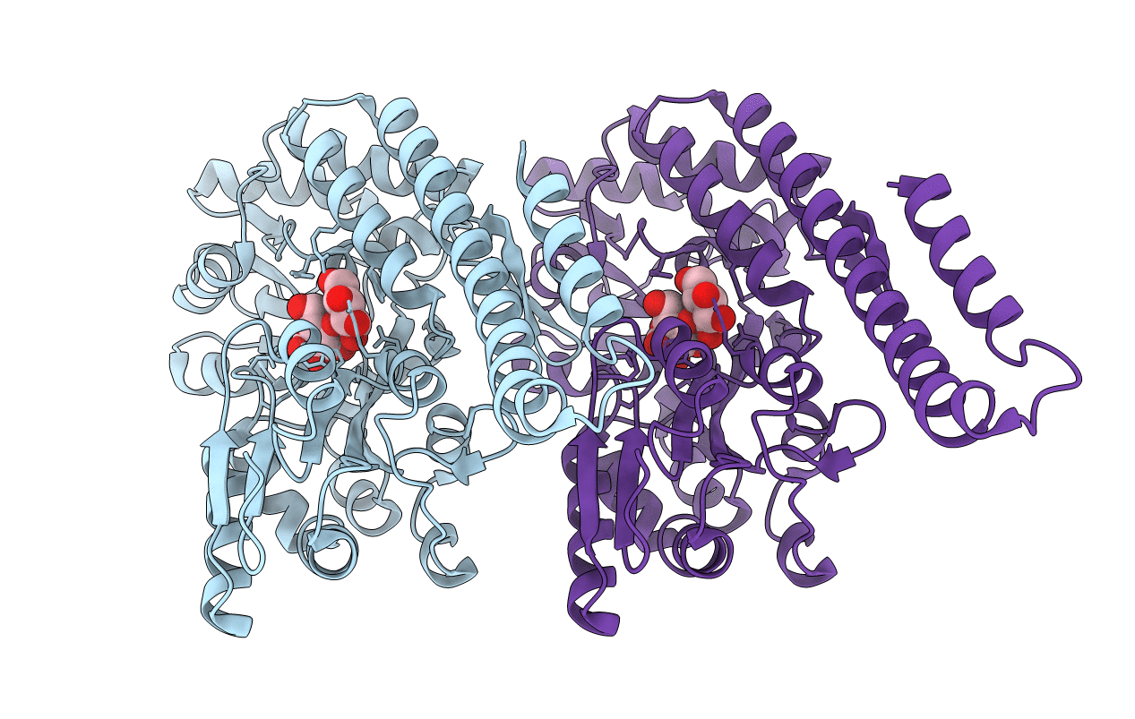 4XZS image