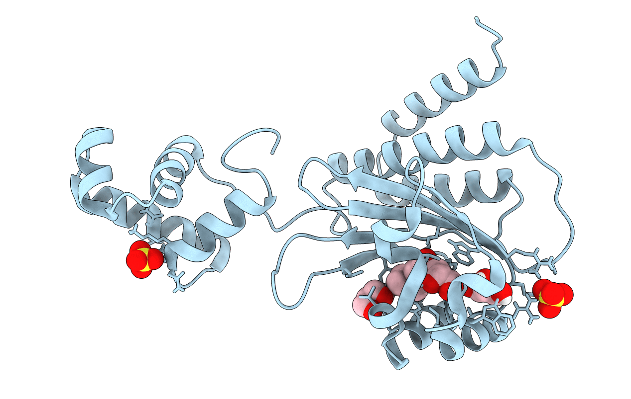 4Y13 image