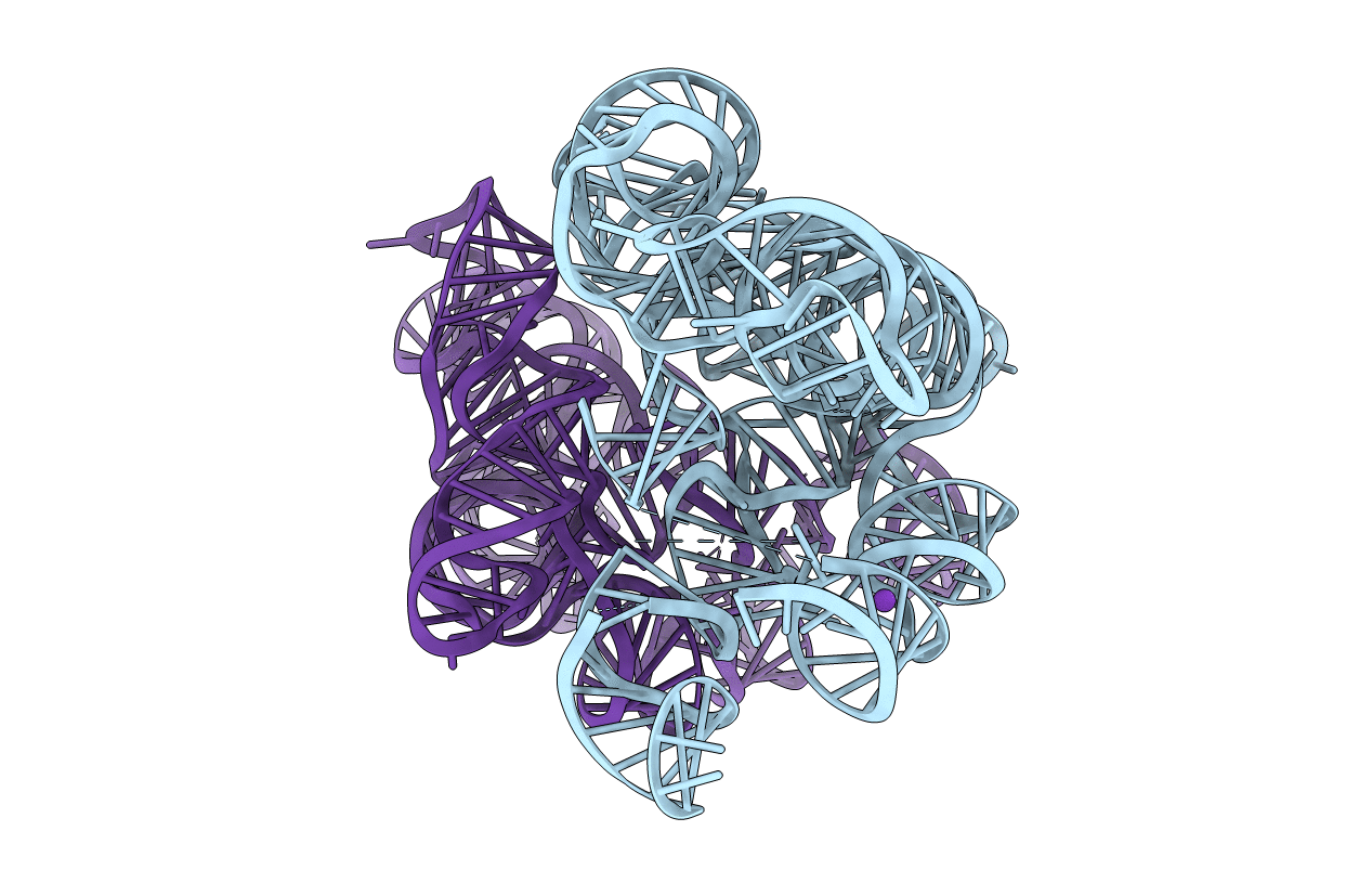 4Y1O image