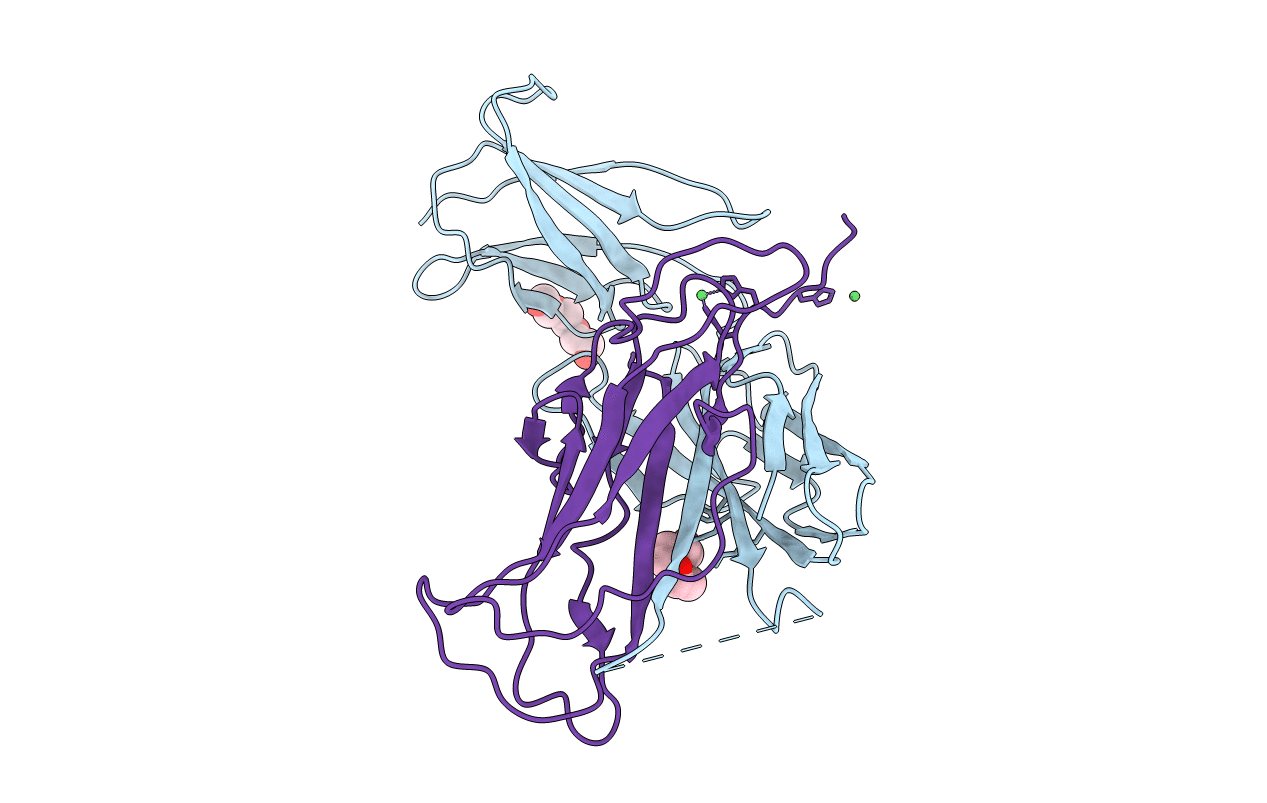 4Y2O image