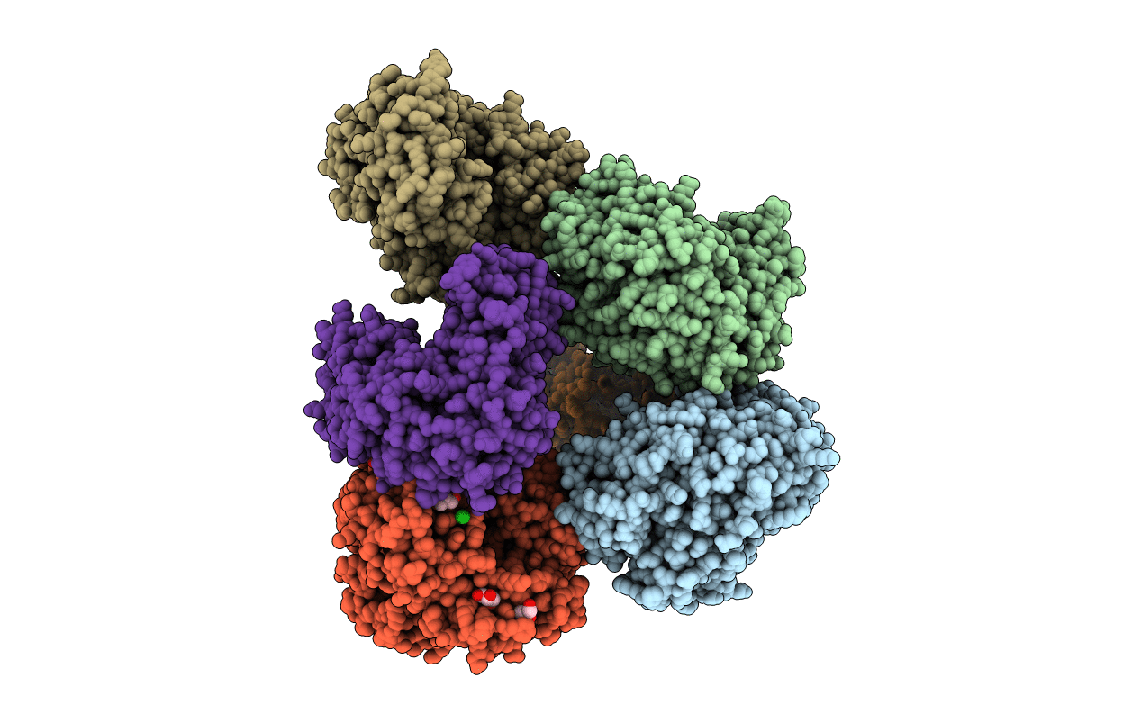 4Y3C image