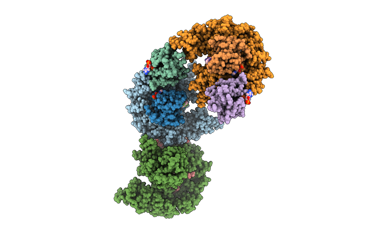 4Y49 image
