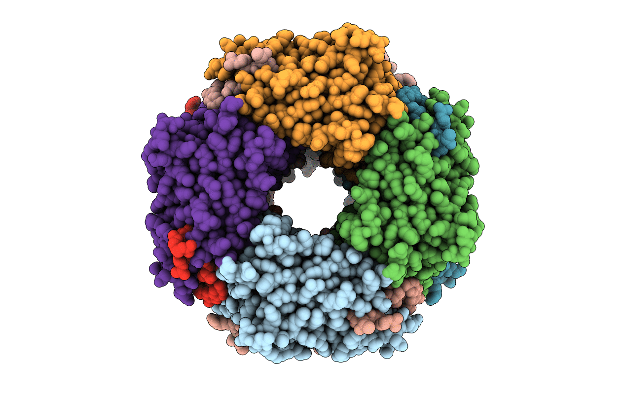 4Y4N image