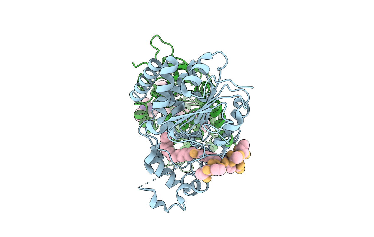 4Y6L image