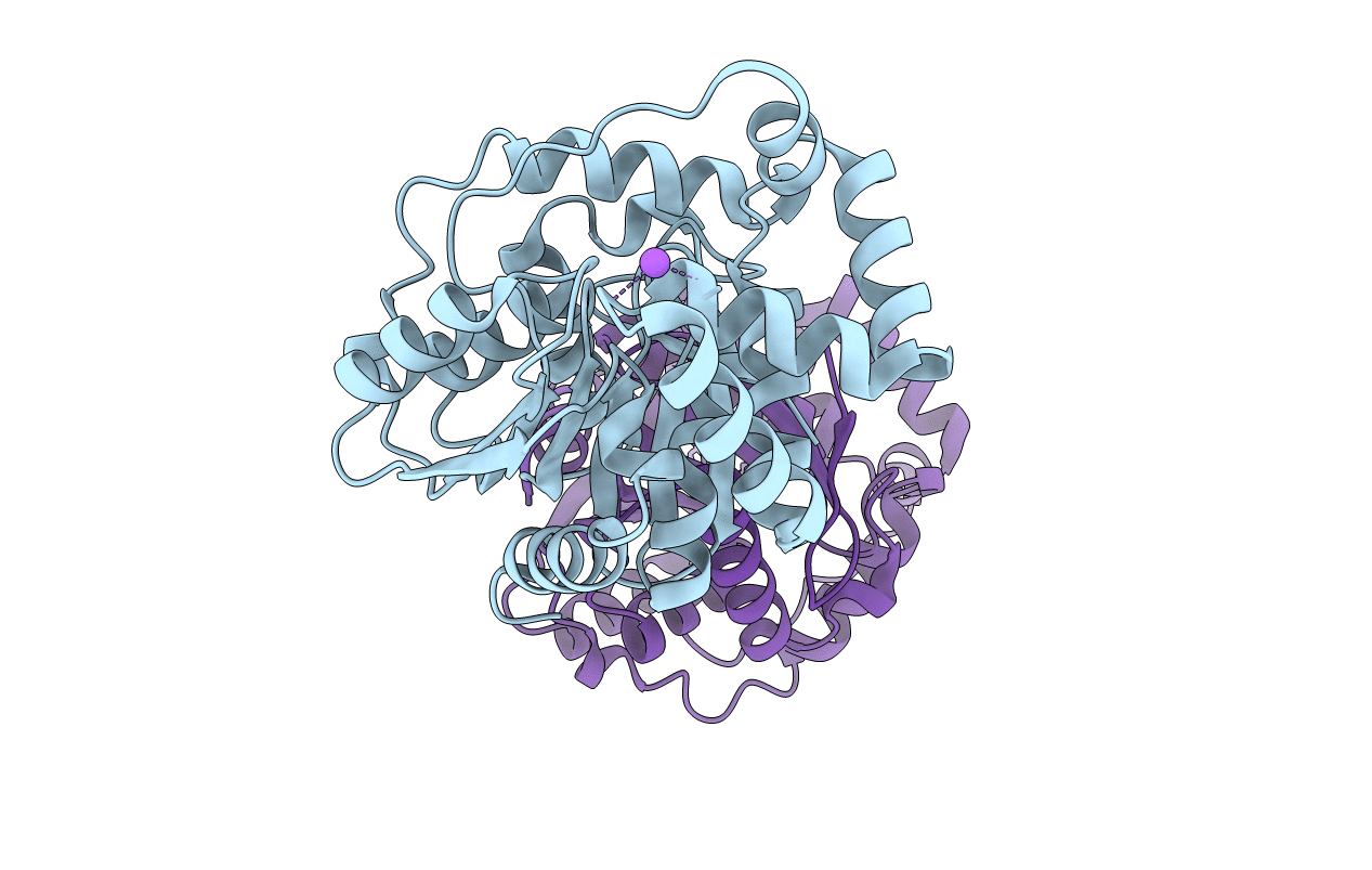4Y7D image