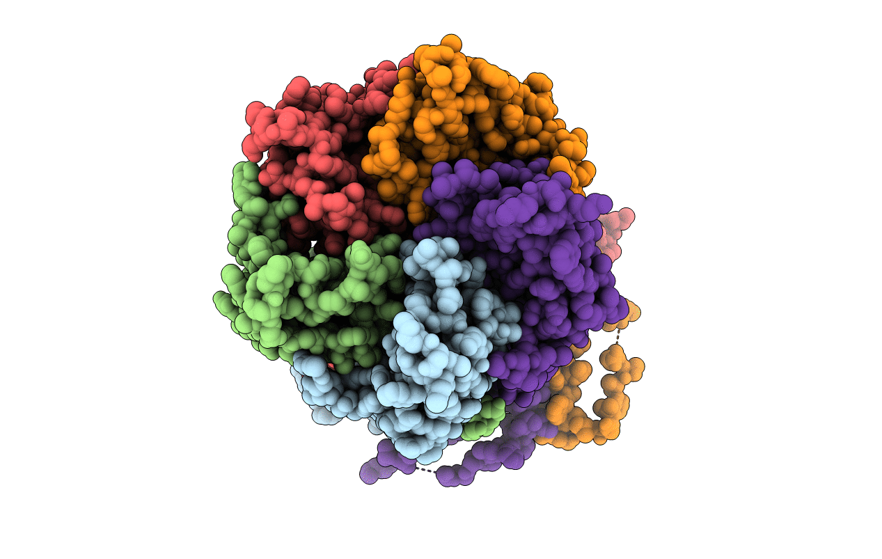 4Y7J image