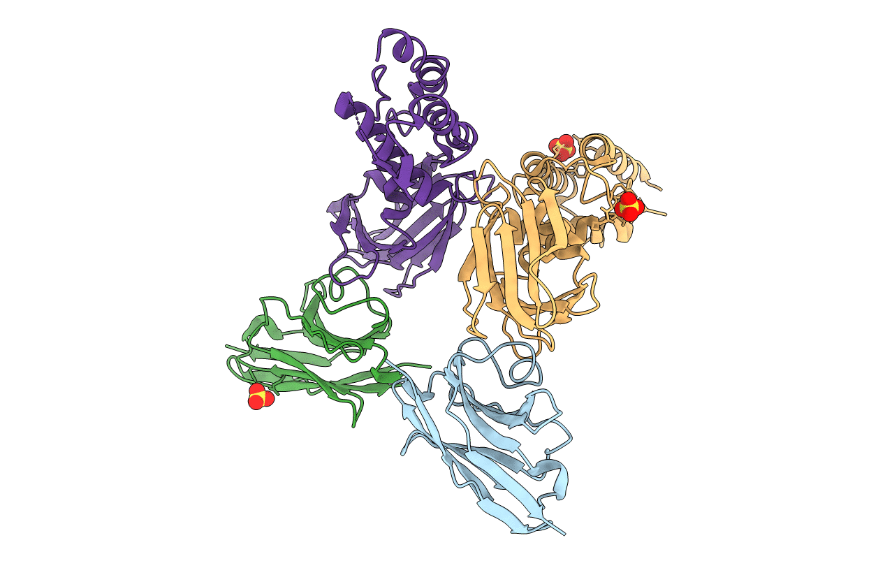4Y7M image