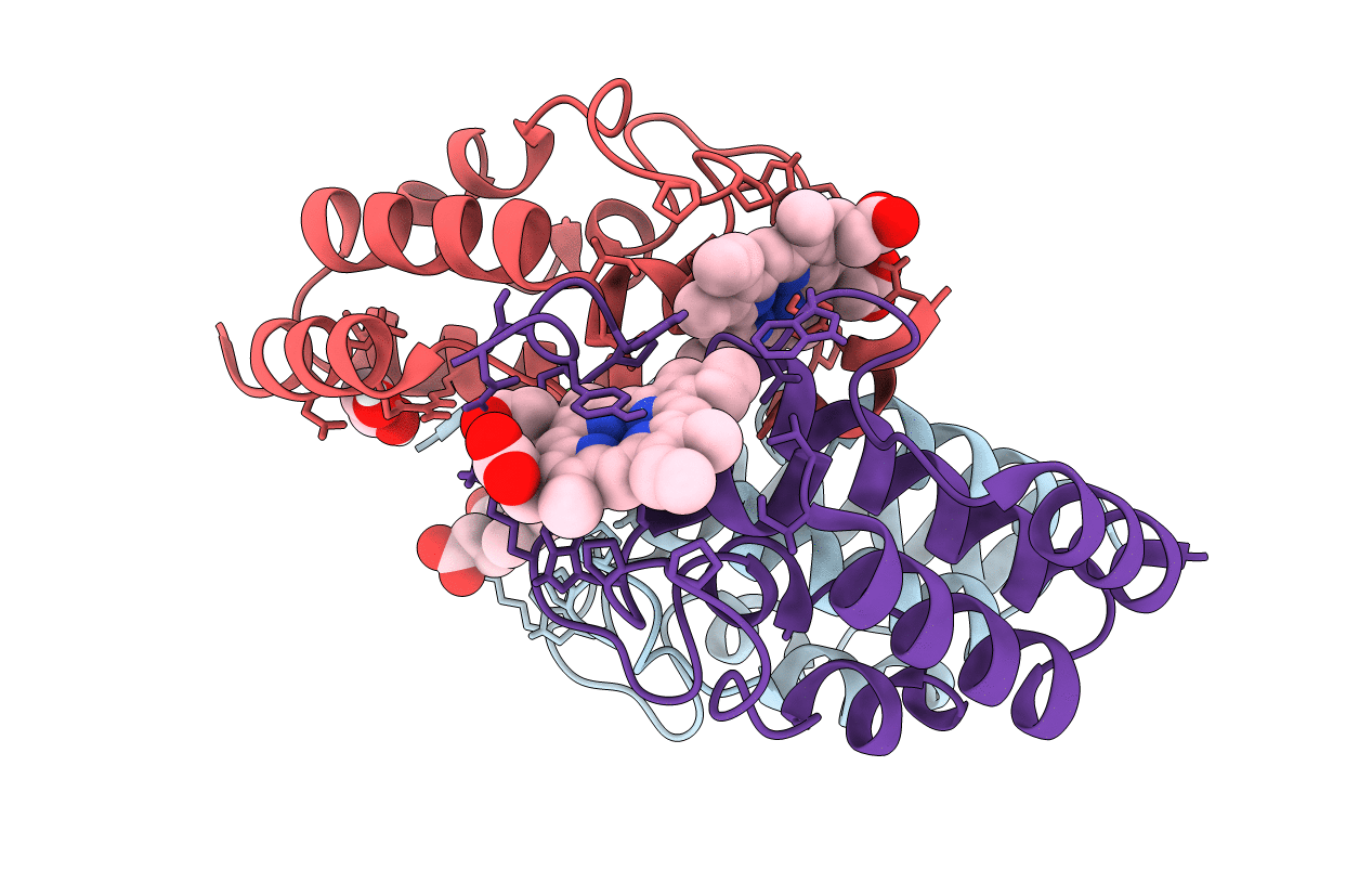 4Y7S image