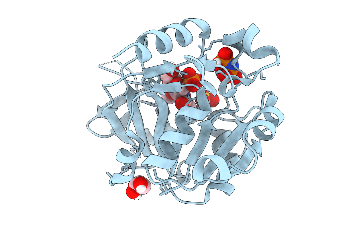 4Y7V image