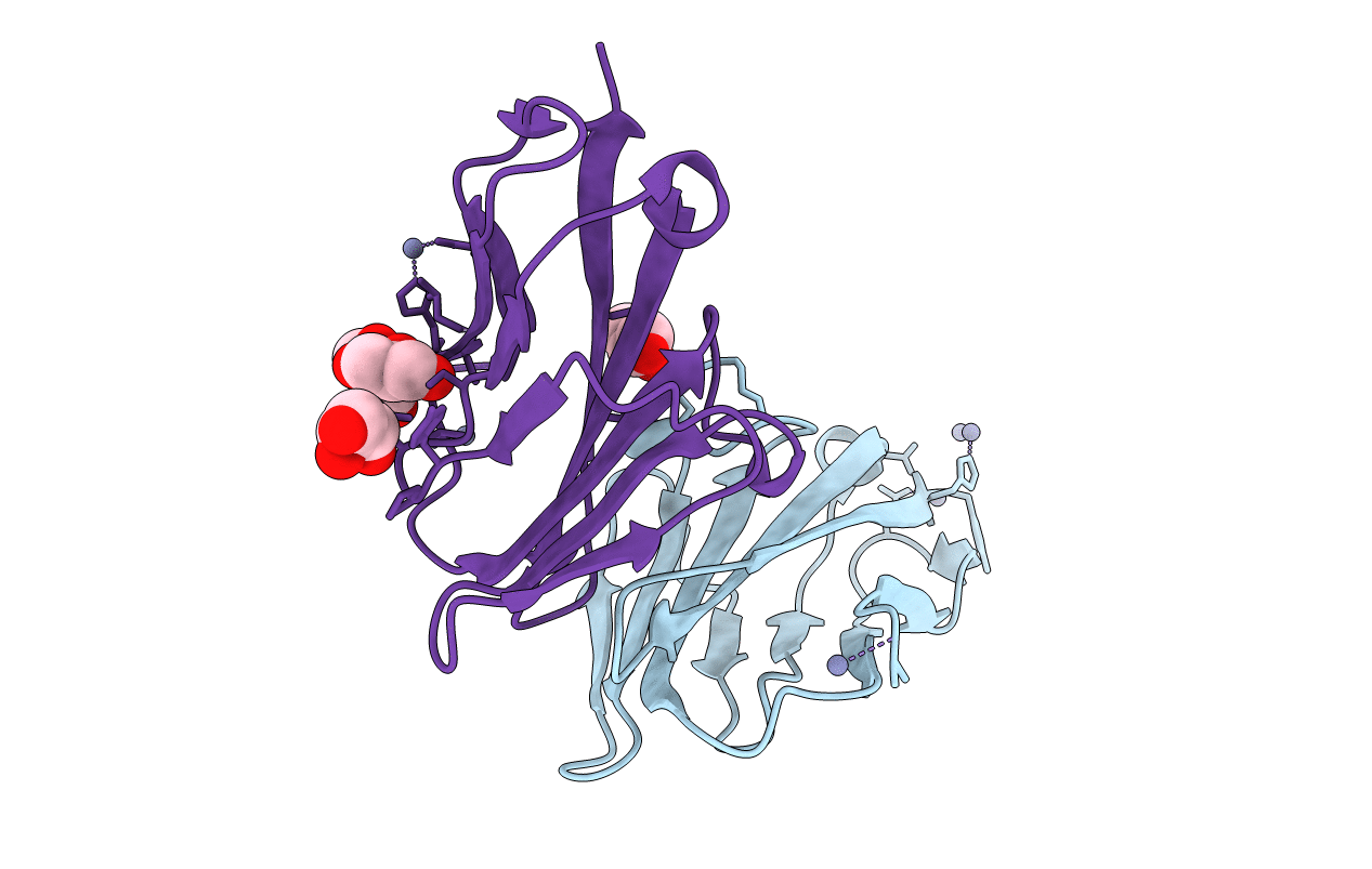 4Y8A image