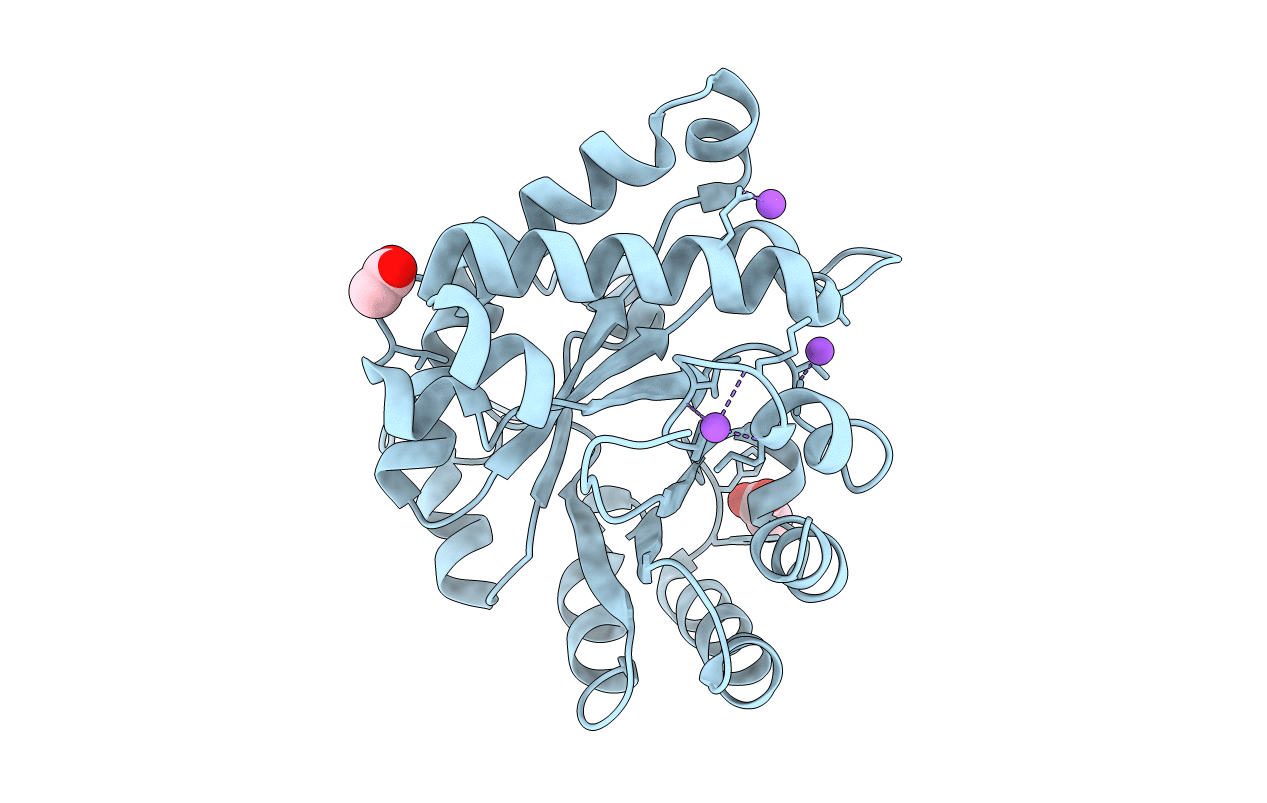 4Y8F image
