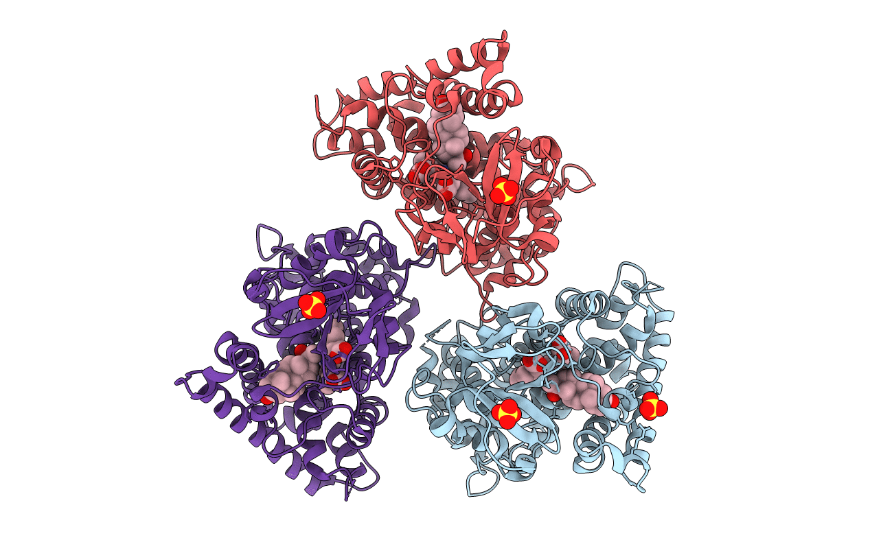 4Y8W image