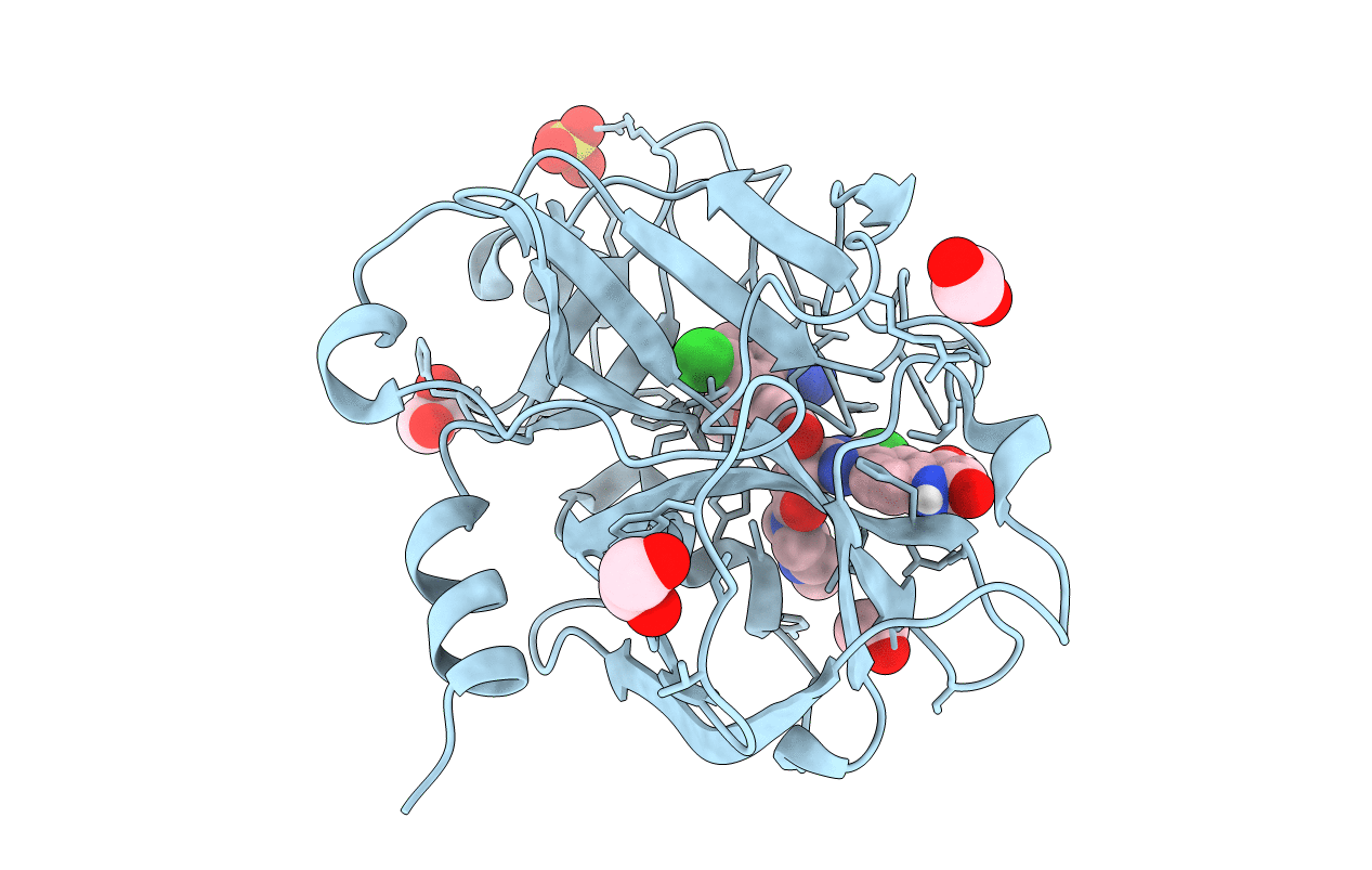 4Y8Z image