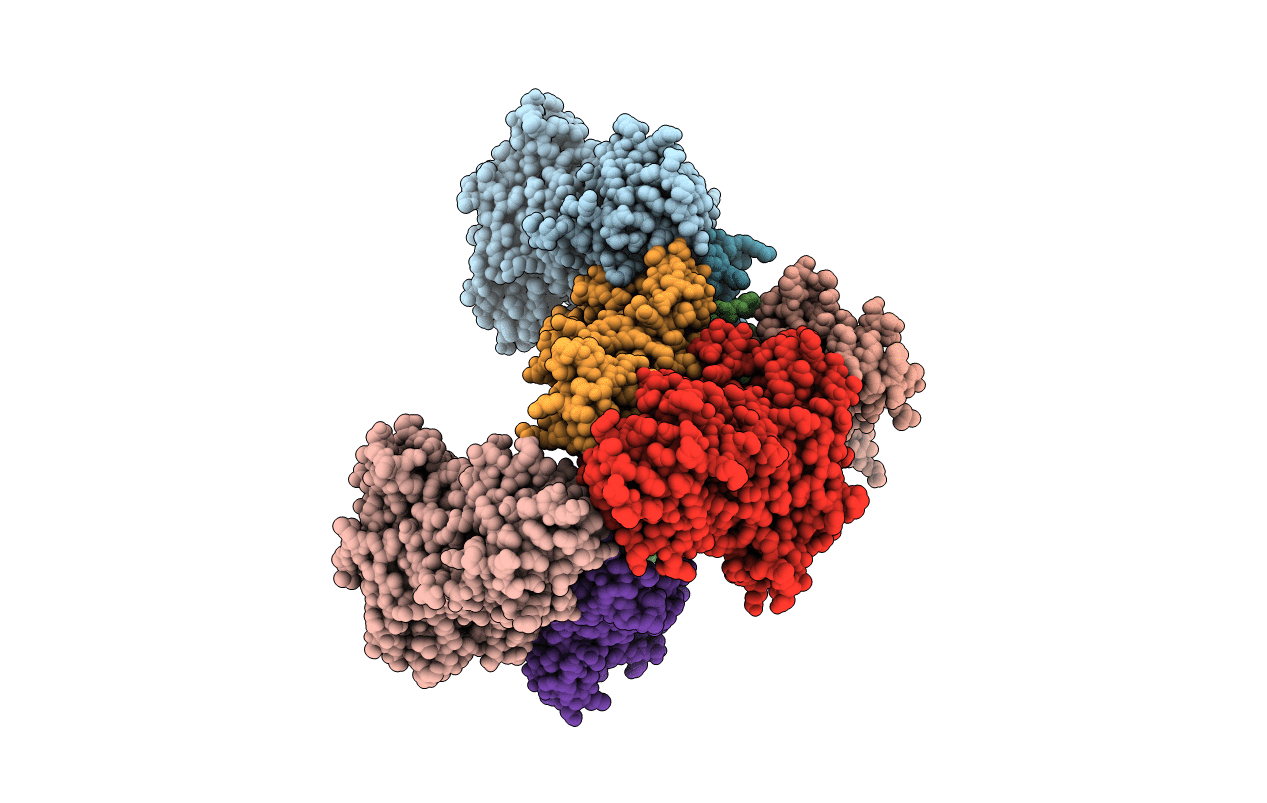 4Y97 image
