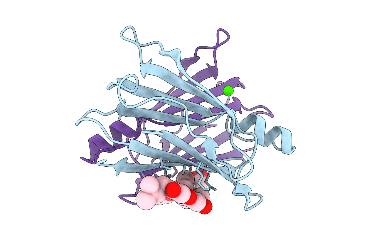 4Y9B image