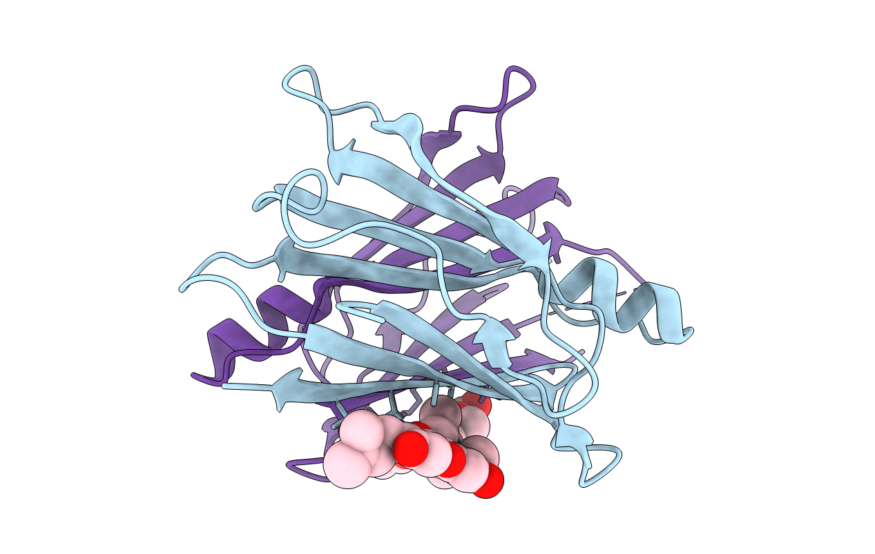 4Y9C image