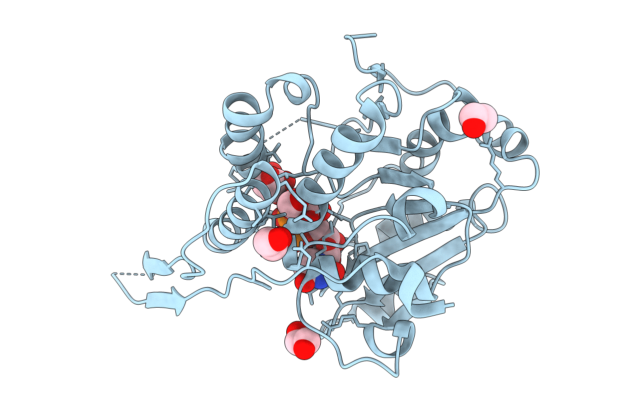 4Y9X image