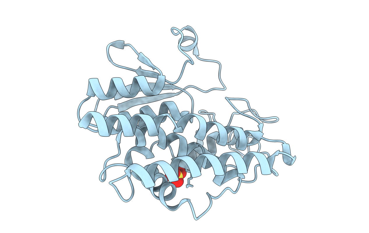 4YAP image