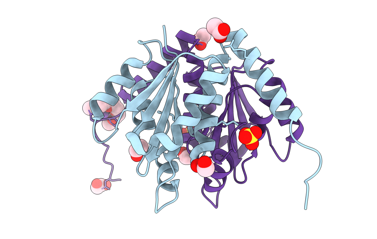 4YCB image