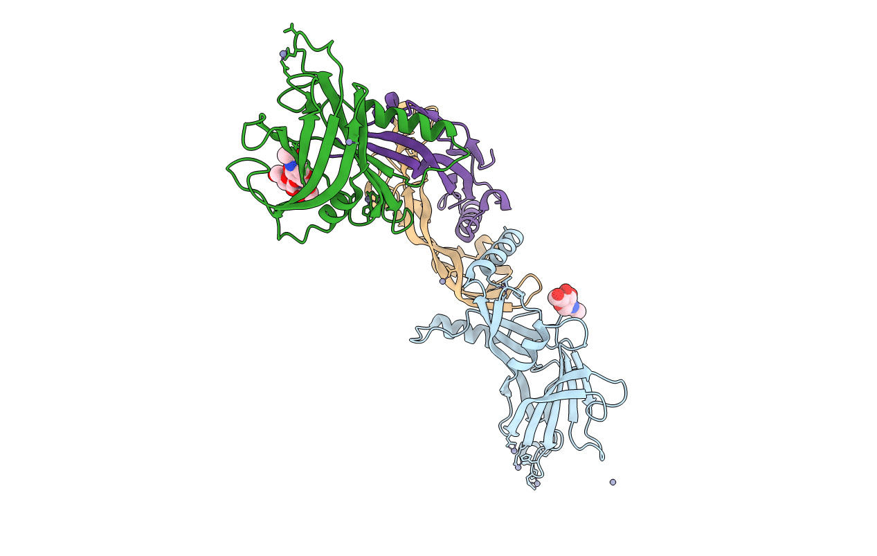 4YCI image