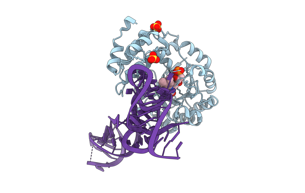 4YCP image