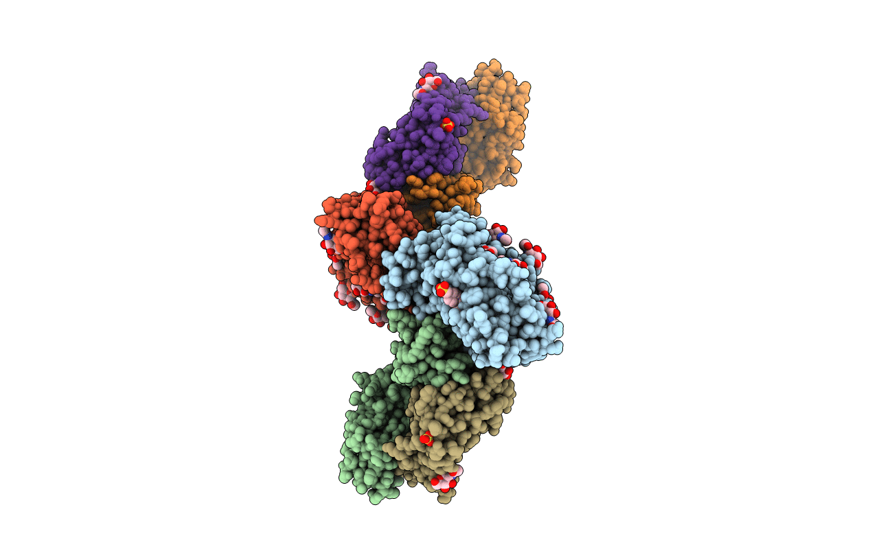 4YDL image