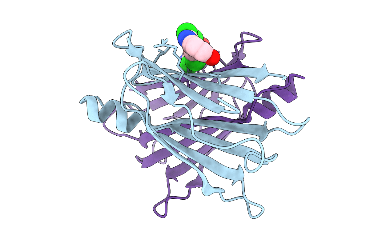 4YDM image