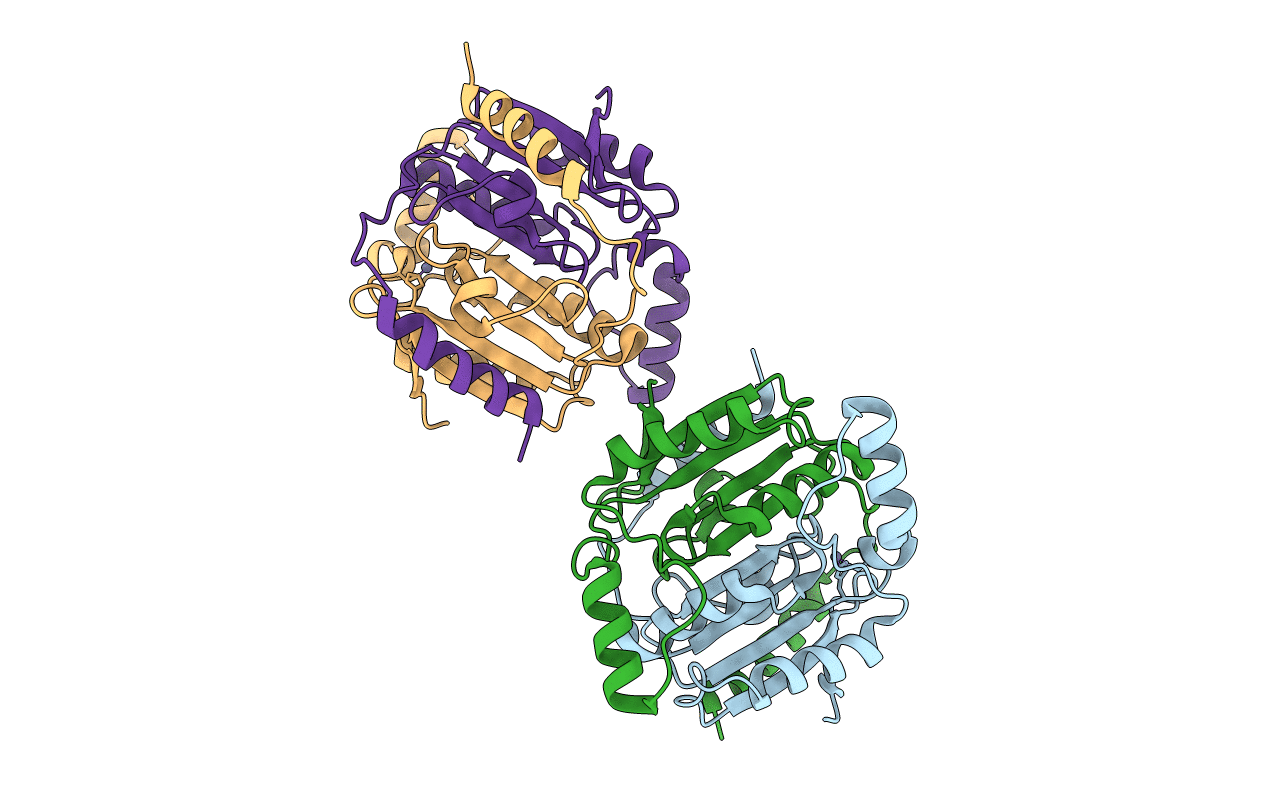 4YF5 image