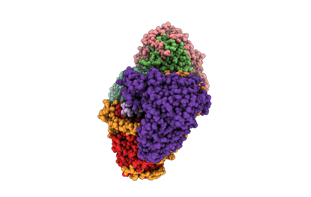 4YFA image