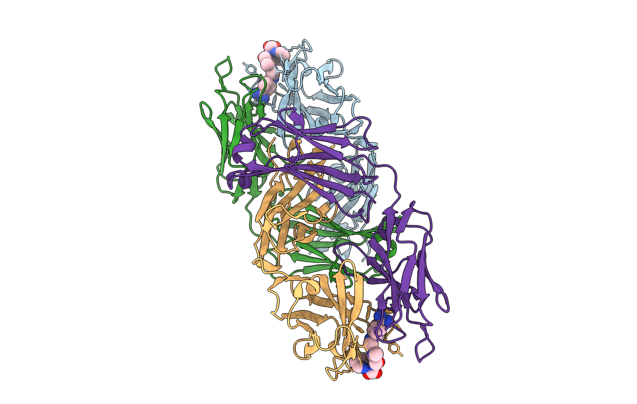 4YHI image