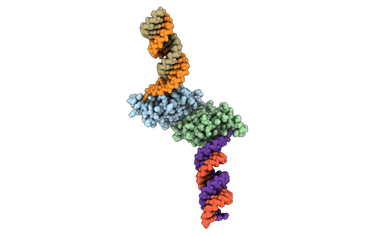 4YHW image