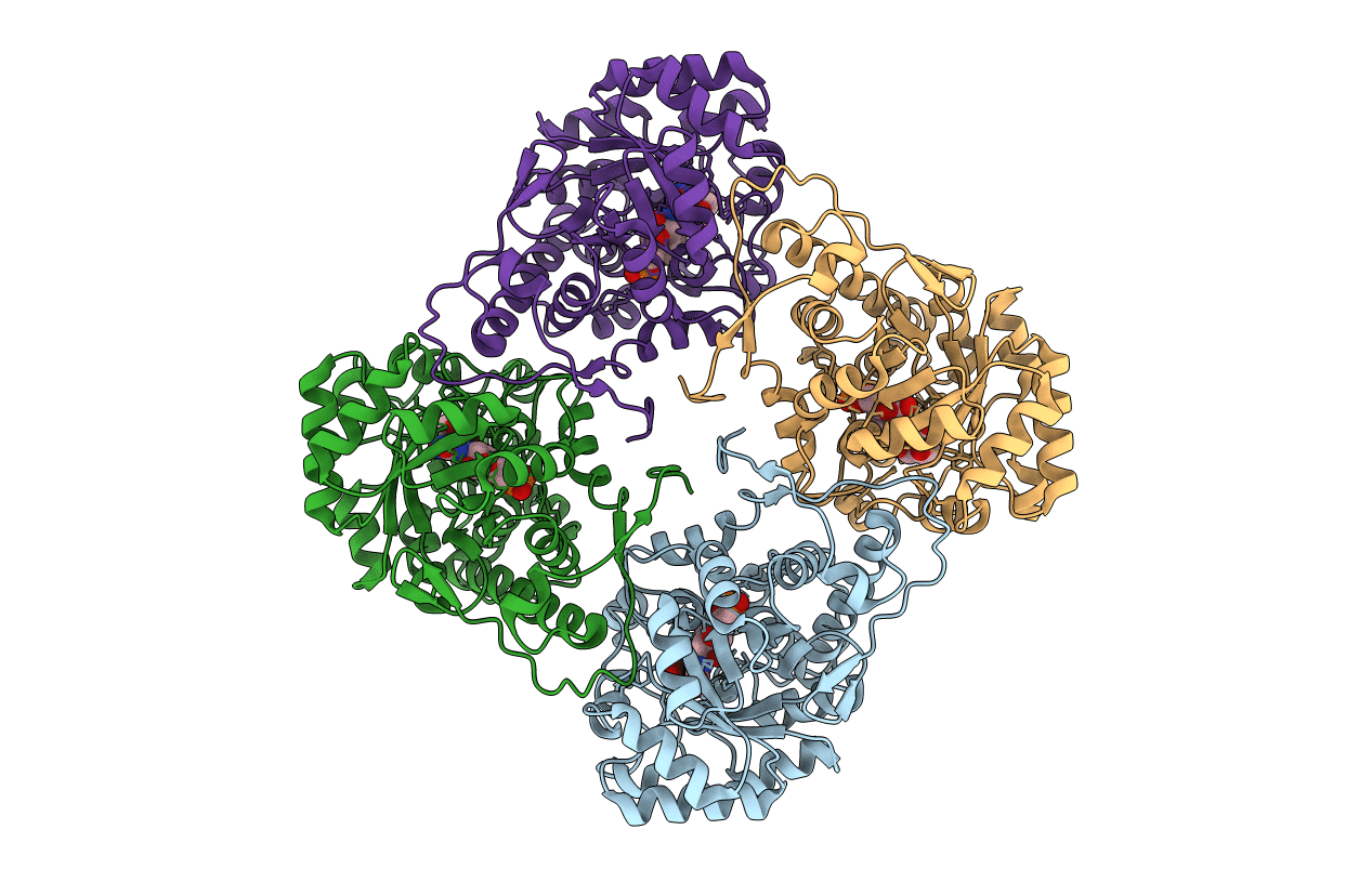 4YL2 image