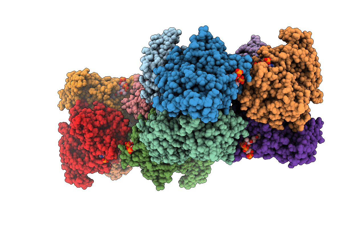 4YLH image