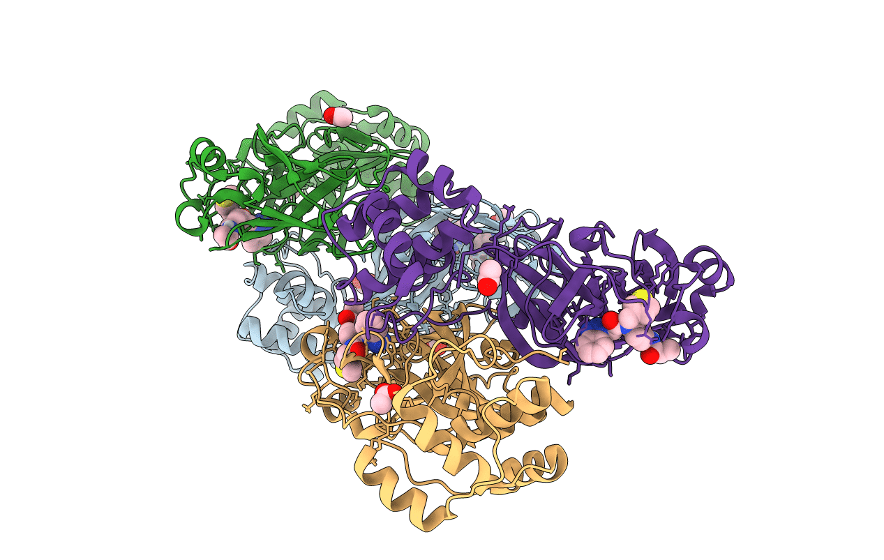 4YLU image