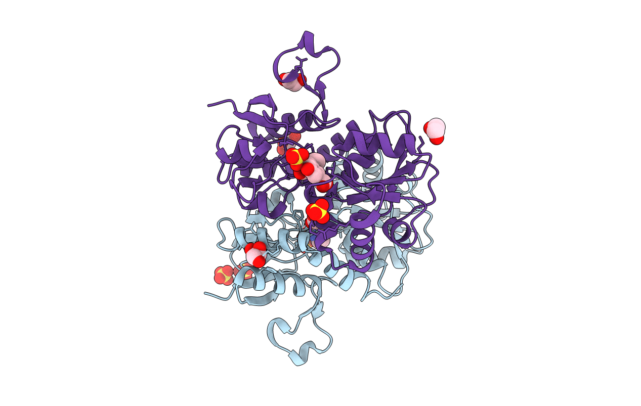4YMA image