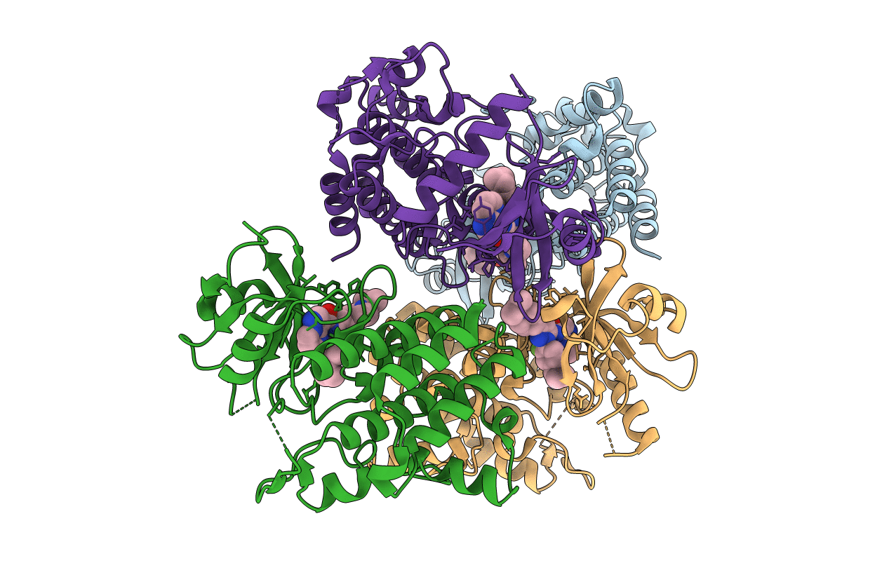 4YP8 image