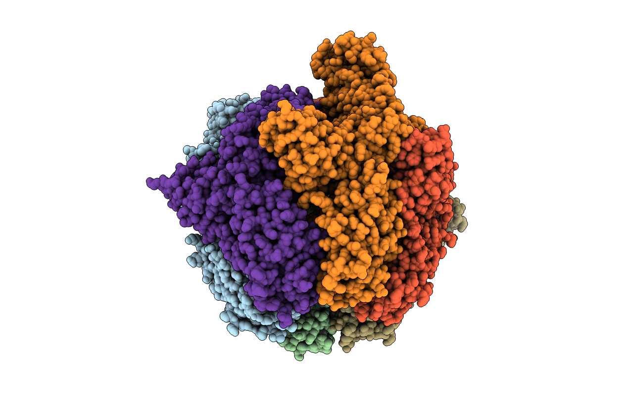 4YPL image