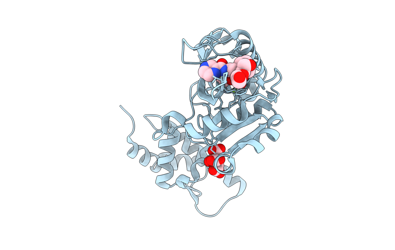 4YPM image