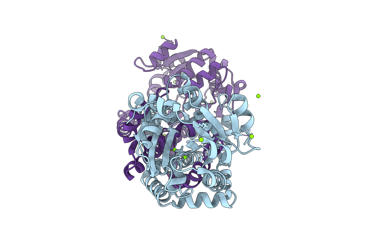 4YPO image