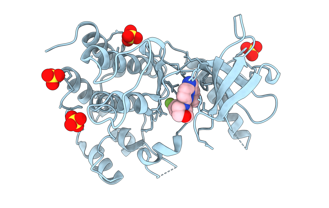 4YPS image
