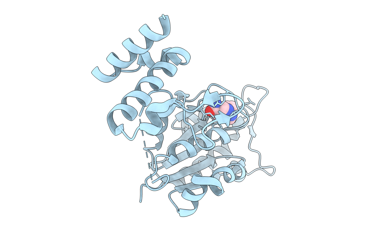 4YPW image